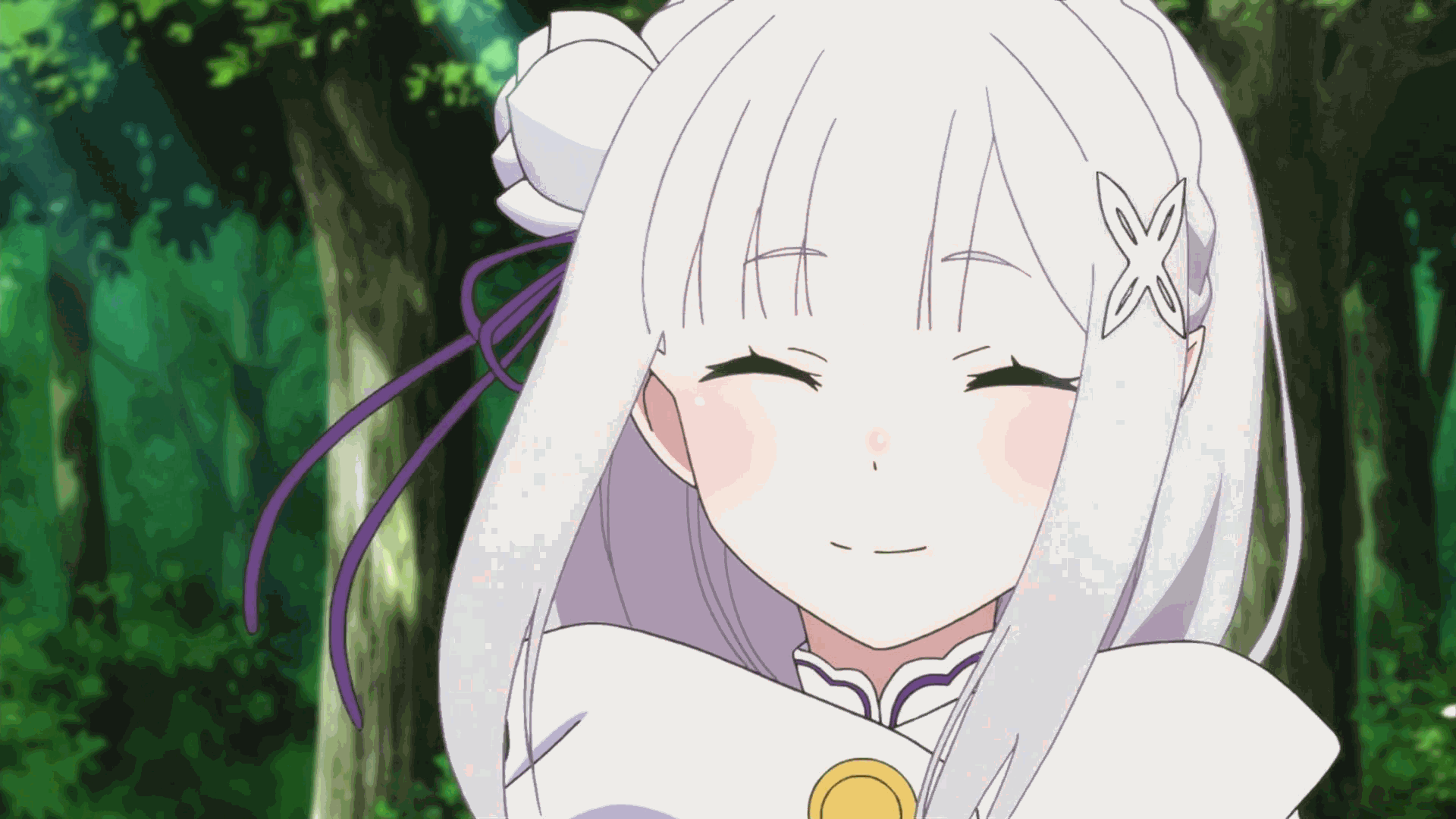 AnimeCoin